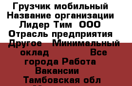 Грузчик мобильный › Название организации ­ Лидер Тим, ООО › Отрасль предприятия ­ Другое › Минимальный оклад ­ 14 000 - Все города Работа » Вакансии   . Тамбовская обл.,Моршанск г.